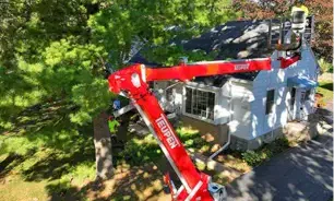 Spider lift Tree Removal