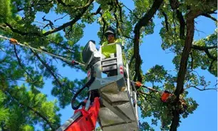 Crane-assisted removal