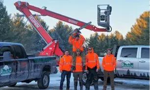 Rigging systems for tree service