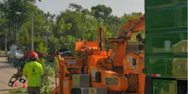 Debris Removal and Site Cleanup