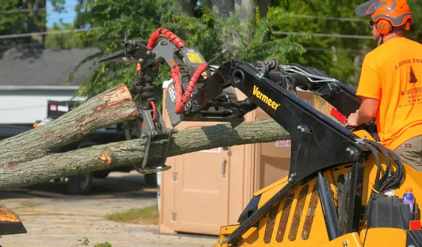 Residential tree care service in Fontana WI