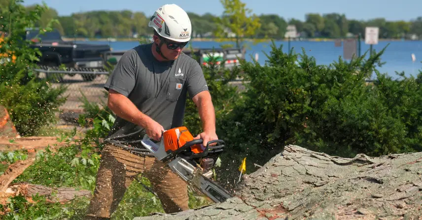 Tree Removal Services in Southeastern Wisconsin