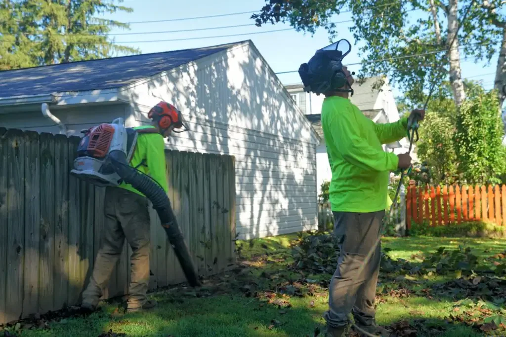 Your #1 Tree Service Team in Mukwonago