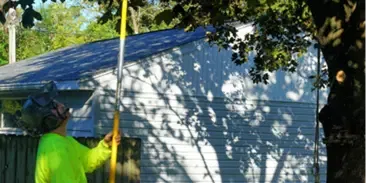 Shrub Removal and Trimming