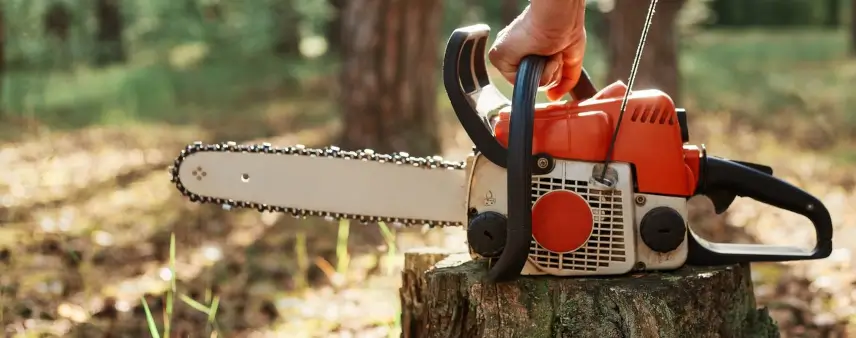 Rausch Tree and Outdoor Services
