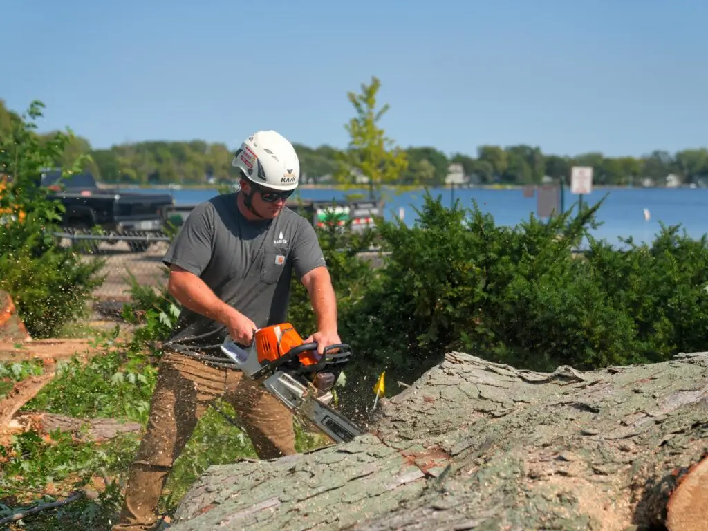 Your #1 Tree Service Team in Twin Lakes