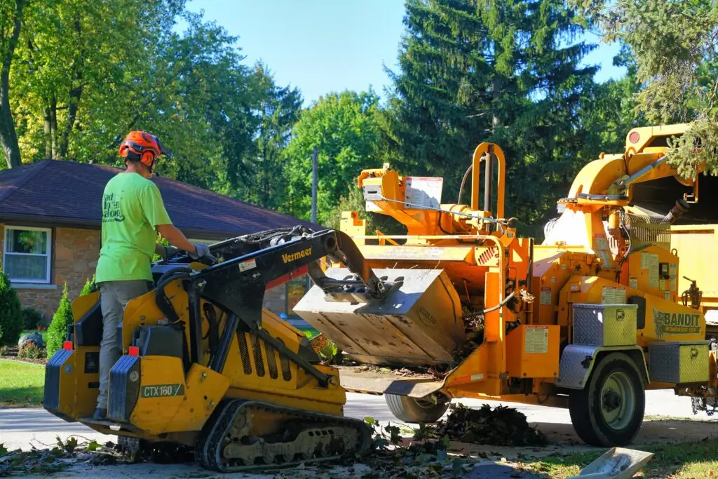 Your #1 Tree Service Team in East Troy