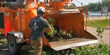 Tree Trimming and Structural Pruning