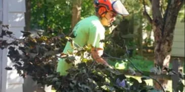 Structural Pruning