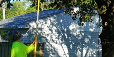 Shrub Removal and Trimming
