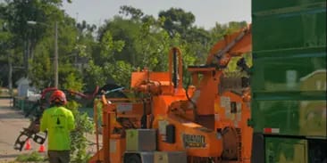 Debris Removal and Site Cleanup