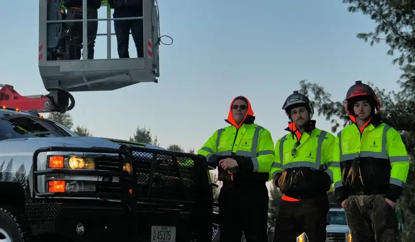 Tree Service in Somers WI