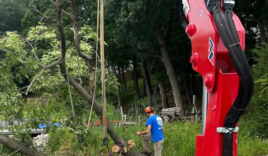 Rausch Tree tree removal service in Lauderdale Lakes, WI