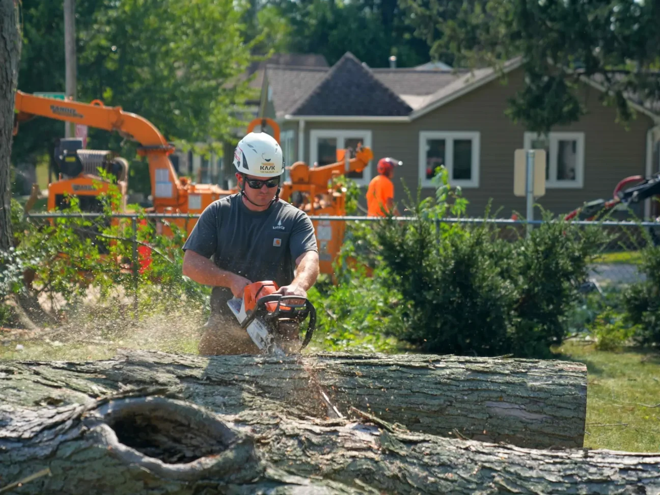 Your #1 Tree Service Team in Union Grove