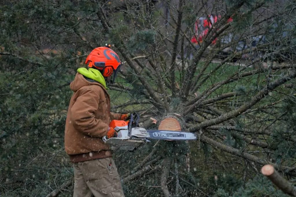 Your #1 Tree Service Team in Muskego