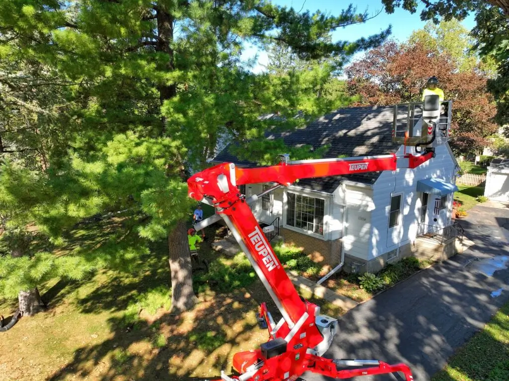 tree services in vernon wi
