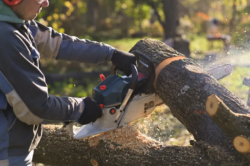 Your #1 Tree Service Team in Salem Lakes