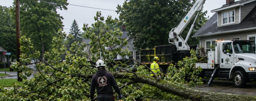 Emergency fallen tree removal after storm damage in Burlington, WI